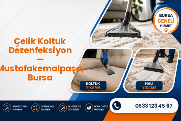 Çelik Koltuk Dezenfeksiyon — Mustafakemalpaşa, Bursa