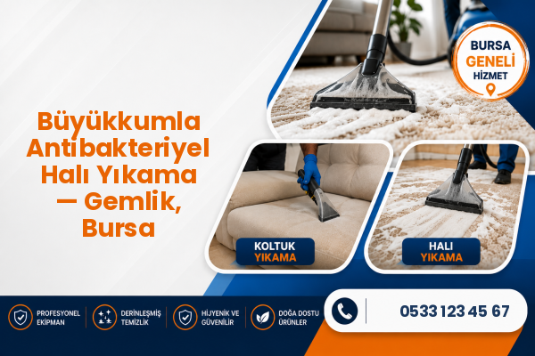 Büyükkumla Antibakteriyel Halı Yıkama — Gemlik, Bursa