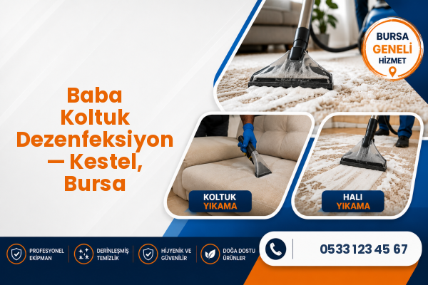 Baba Koltuk Dezenfeksiyon — Kestel, Bursa