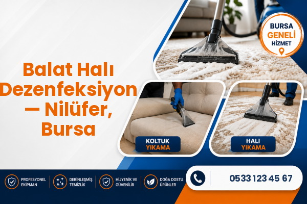 Balat Halı Dezenfeksiyon — Nilüfer, Bursa
