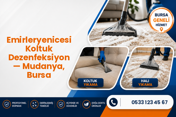Emirleryenicesi Koltuk Dezenfeksiyon — Mudanya, Bursa
