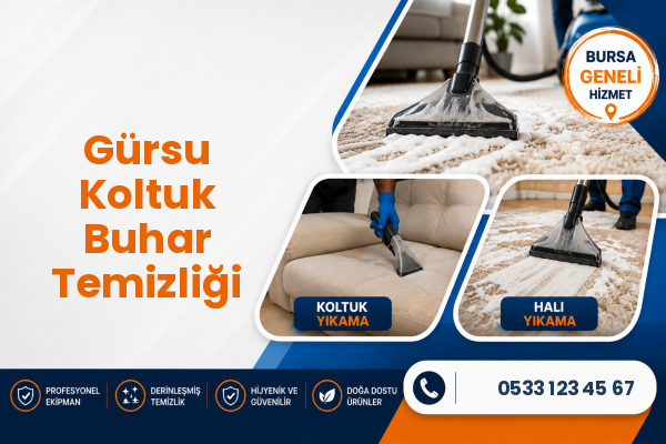 Gürsu Koltuk Buhar Temizliği