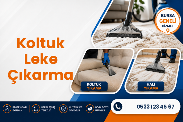 Koltuk Leke Çıkarma