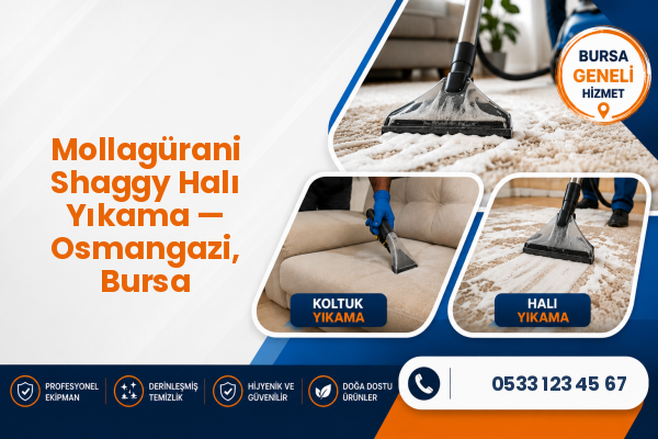 Mollagürani Shaggy Halı Yıkama — Osmangazi, Bursa