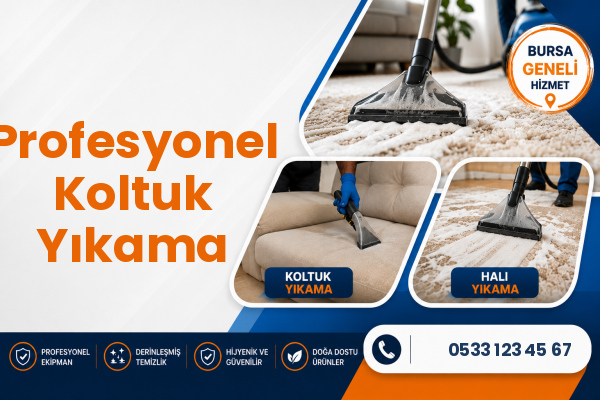 Profesyonel Koltuk Yıkama