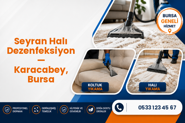 Seyran Halı Dezenfeksiyon — Karacabey, Bursa