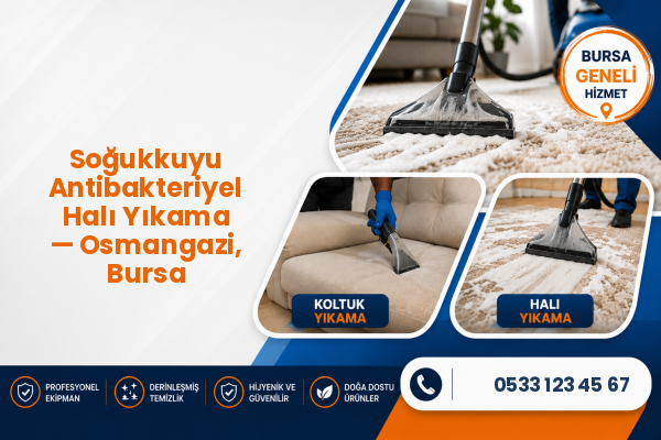 Soğukkuyu Antibakteriyel Halı Yıkama — Osmangazi, Bursa